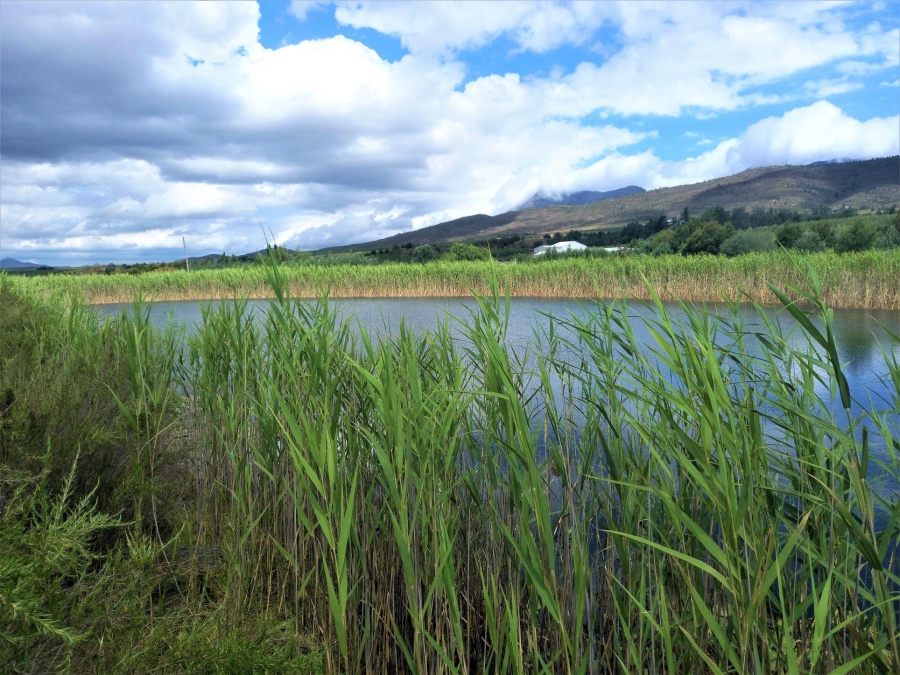 0 Bedroom Property for Sale in Uniondale Rural Western Cape